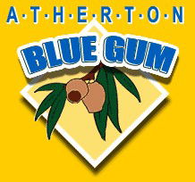Atherton Blue Gum - Accommodation Australia 1