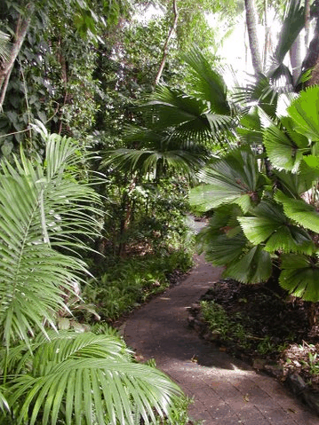 Rainforest Grove Holiday Resort - Accommodation Australia 1