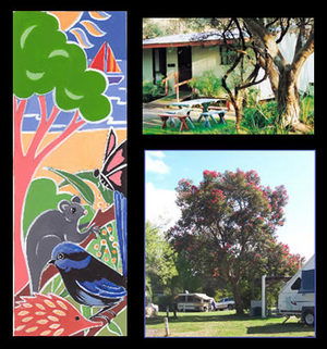 Bushland Cabins - Accommodation Australia 0