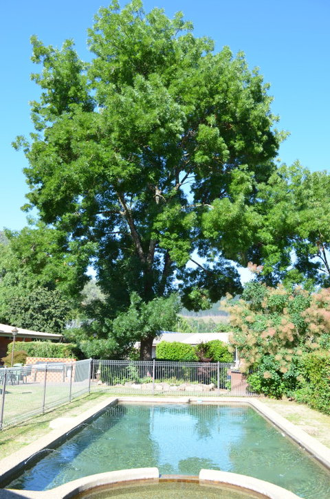 Bright Colonial Inn Motel - Accommodation Australia 4