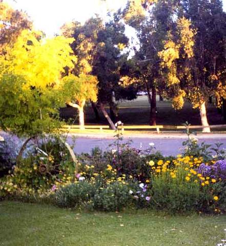 Parkside Bed And Breakfast - Accommodation Australia 1