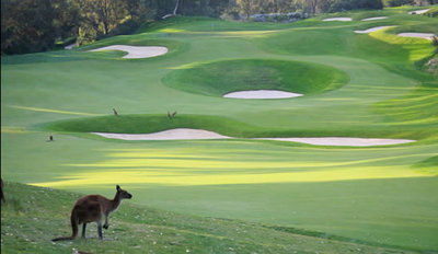 Joondalup Resort - Accommodation Australia 9