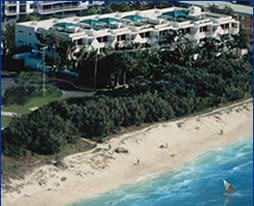Camargue Beachfront Apartments - Local Tourism 5