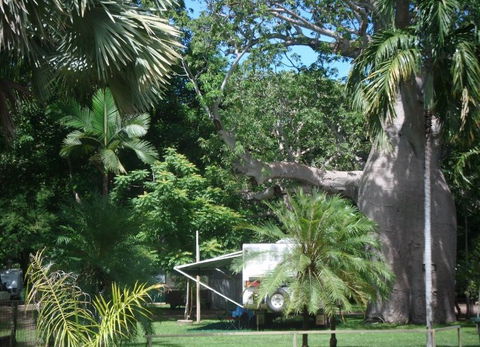 Kimberleyland Holiday Park - Accommodation Australia 5