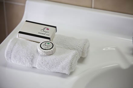 Cumberland Motor Inn - Local Tourism 7