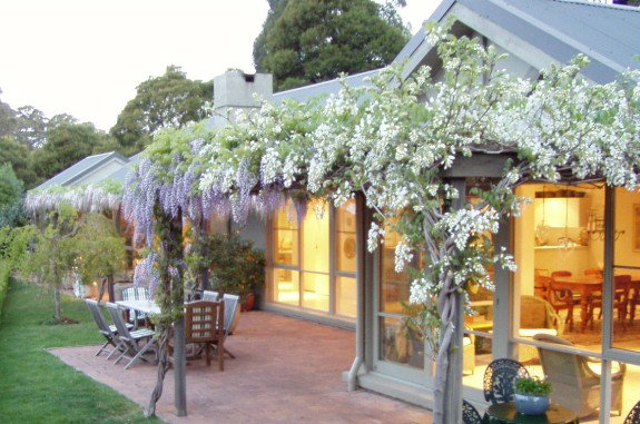 Mount Tomah NSW Accommodation Australia