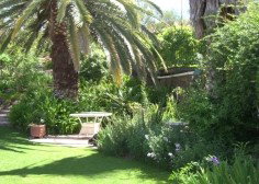 Nthaba Cottage - Accommodation Australia 0