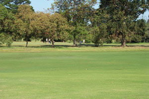 Beach Motor Inn - Accommodation Australia 7