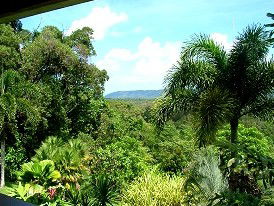 Daintree Manor - Accommodation Australia 3
