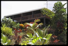 Daintree Manor - Accommodation Australia 5