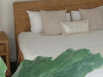 Caledonian Inn - Accommodation Australia 0