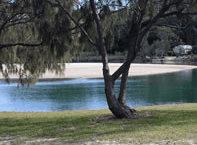 Ocean View Apartments - Accommodation Australia 3