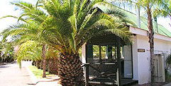 Desert Palms Resort - Local Tourism 2