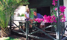Desert Palms Resort - Local Tourism 3