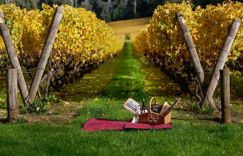 Lindenderry At Red Hill - Local Tourism 5