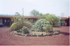  Local Tourism