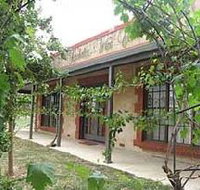 Under the Vines