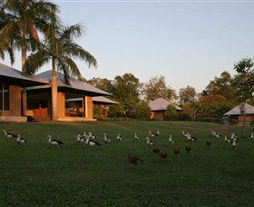 Feathers Sanctuary - Local Tourism 0