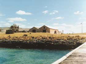 Mt Dutton Bay Woolshed Hostel - Local Tourism 0