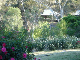 Battunga Bed & Breakfast - Accommodation Australia 0