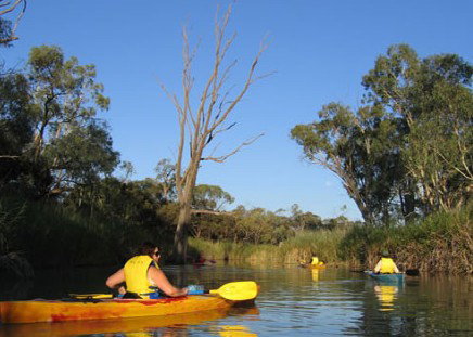 Pike River Woolshed - Accommodation Australia 3