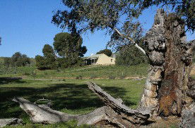 Saunders Gorge Sanctuary - Boundary Cottage - Local Tourism 1