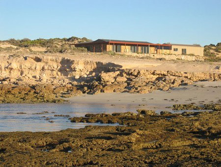Tiliqua Sunrise - Accommodation Australia 3