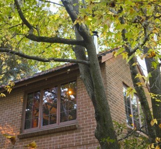 Crafers Cottages - Cherrytree Cottage - Accommodation Australia 4