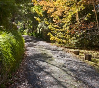 Crafers Cottages - Cherrytree Cottage - Accommodation Australia 5