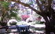 Memory Lane Accommodation - thumb 1