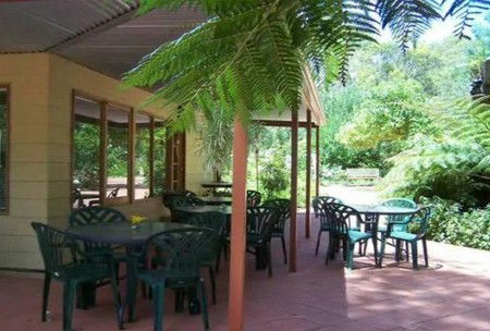 Rainforest Retreat - Accommodation Australia 1