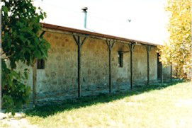 Mt Dutton Bay Woolshed Hostel - Local Tourism 3
