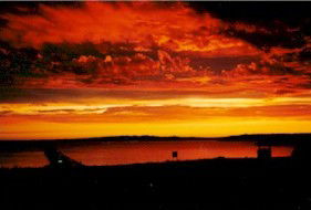 Mt Dutton Bay Woolshed Hostel - Local Tourism 4