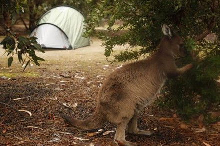 Western KI Caravan Park Cabins - Accommodation Australia 2