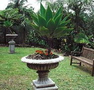 Bangalow Retreat
