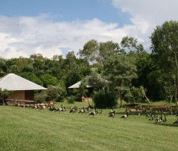 Feathers Sanctuary - Local Tourism 3