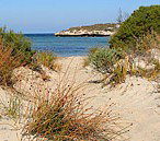 Marion Bay Caravan Park - Accommodation Australia 5