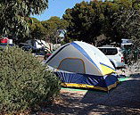 Marion Bay Caravan Park - Accommodation Australia 6