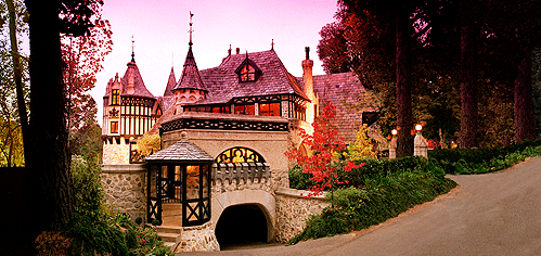 Thorngrove Manor - Local Tourism