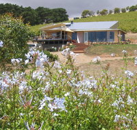 The Blue Grape Vineyard Accommodation - Local Tourism