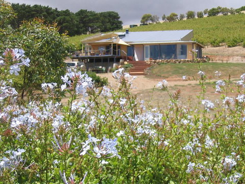 The Blue Grape Vineyard Accommodation - Local Tourism 0