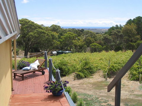 The Blue Grape Vineyard Accommodation - Local Tourism 1