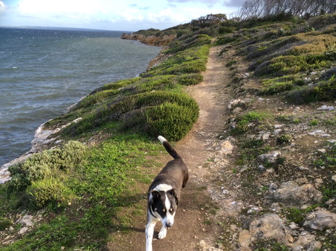 Morgans By The Sea - Local Tourism 8