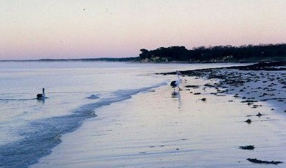 Destrees Bay SA Accommodation Australia