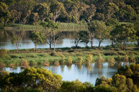 Riverview Rise Retreats - Accommodation Australia 4