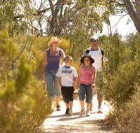 Long Island Caravan Park Cabins - Accommodation Australia
