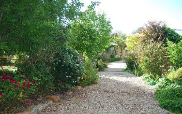 Springton Heritage Bed And Breakfast - Accommodation Australia 5