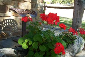 Adelaide Hills Country Cottages - Gum Tree Cottage - Accommodation Australia 3