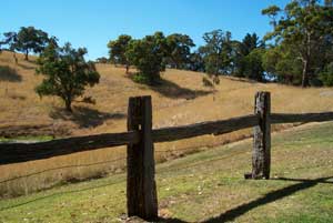 Adelaide Hills Country Cottages - Gum Tree Cottage - Accommodation Australia 4