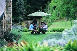 Adelaide Hills Country Cottages - Lavender Fields - Accommodation Australia 2